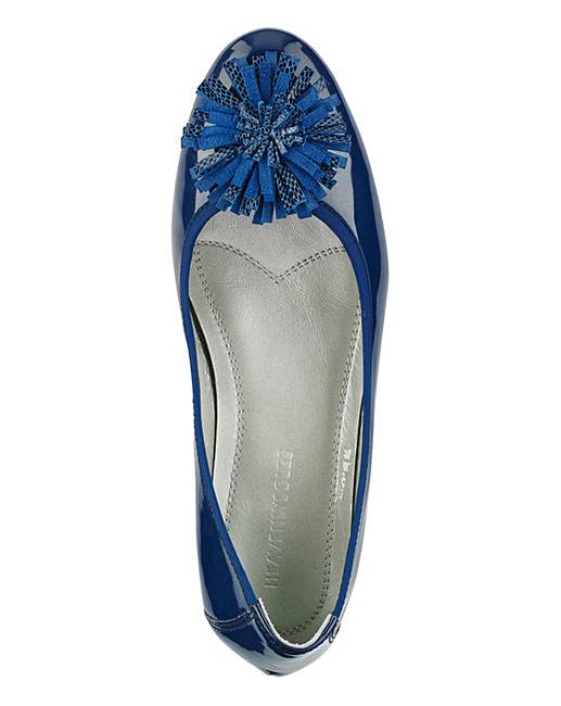 eee court shoes