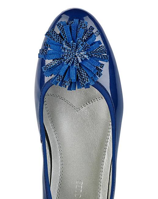eee court shoes