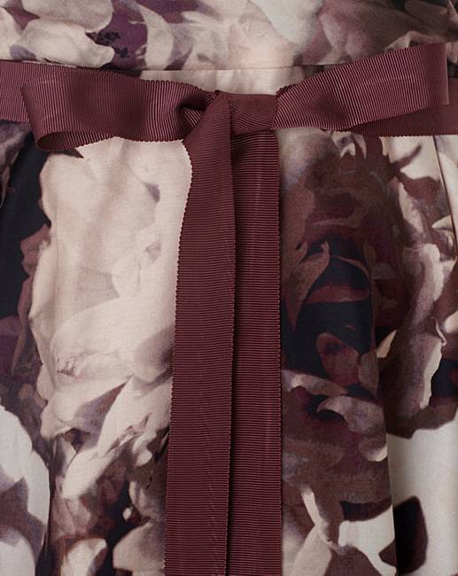 Studio 8 by Phase Eight Aoife Dress J D Williams