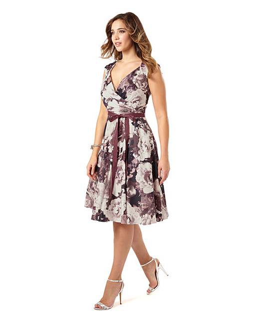 Studio 8 by Phase Eight Aoife Dress J D Williams