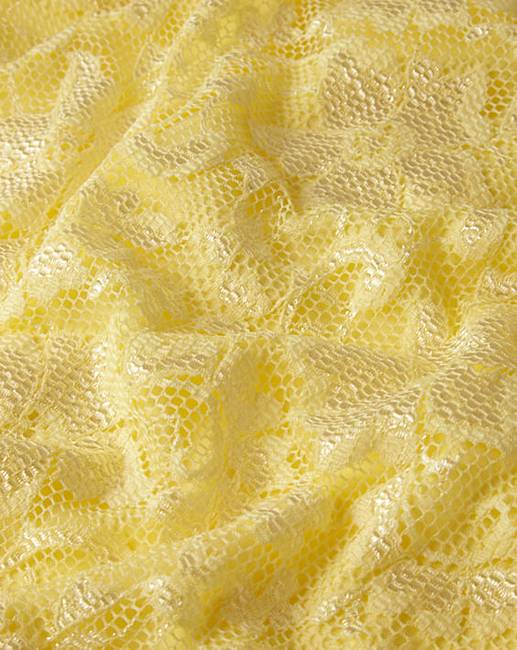 Together Lace Shift Dress J D Williams