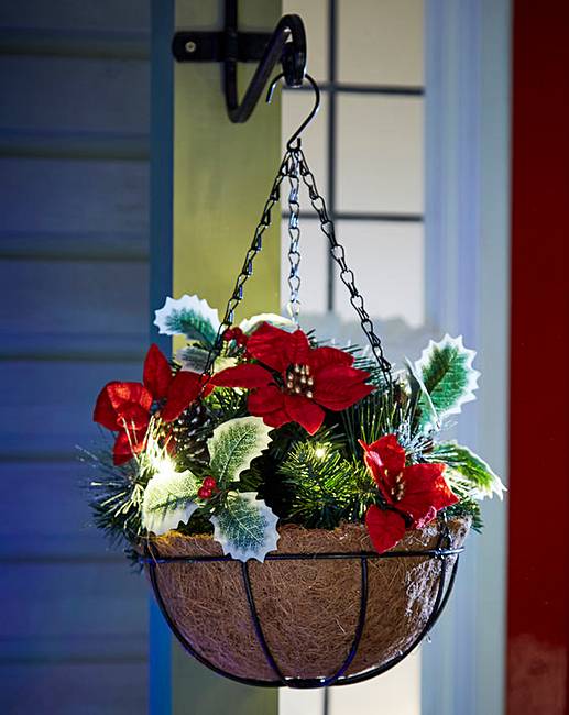 Poinsettia Lit Hanging Basket Fifty Plus