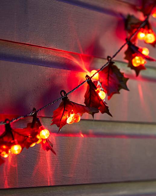 Holly & Red Berry String Lights J D Williams
