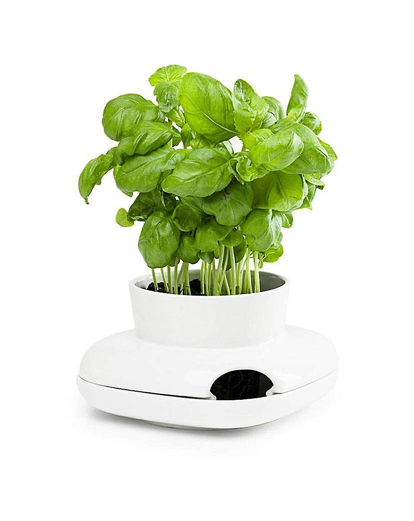 Sagaform Herb Pot Small Sagaform Herb Pot Small