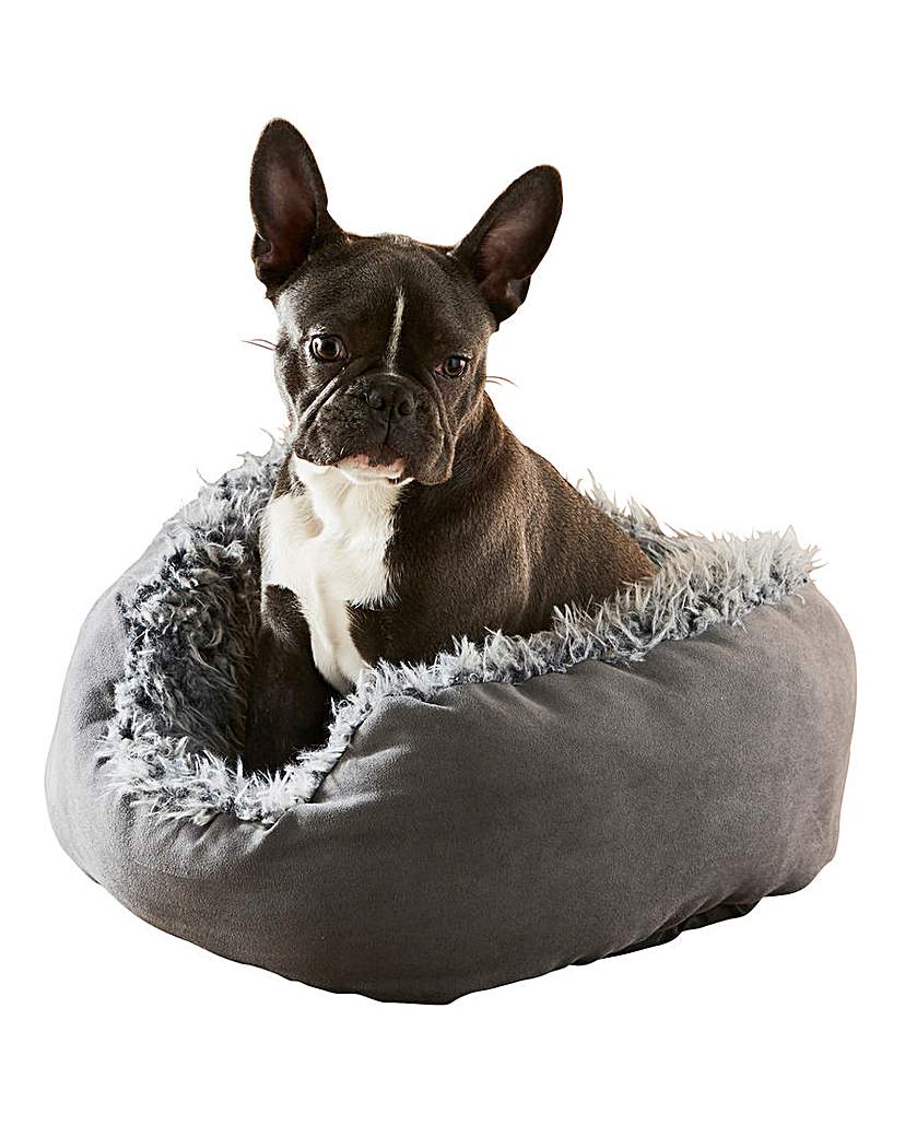 Grey Lion Suede Oval Dog Bed Grey Lion Suede Oval Dog Bed
