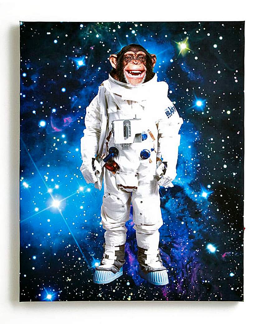 Space Monkey light up canvas Space Monkey light up canvas