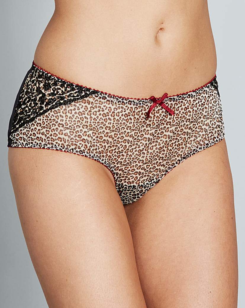 Curvy Kate Wild Cat Animal Print Shorts Curvy Kate Wild Cat Animal Print Shorts