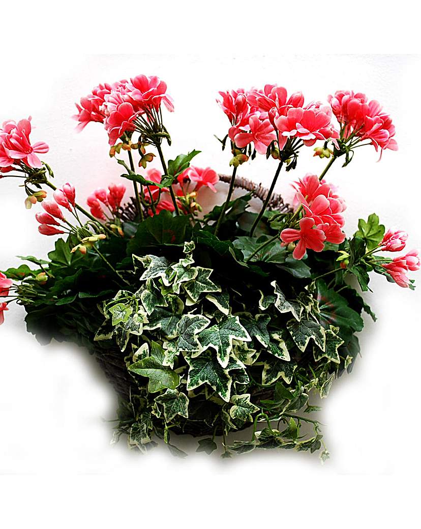 Artificial Plant Geranium Wall Basket Artificial Plant Geranium Wall Basket