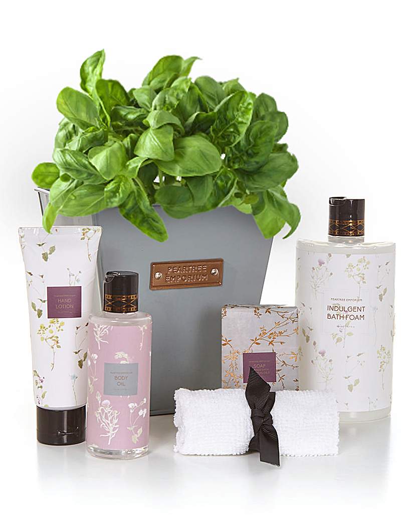 Plant Pot Bath Gift Set Plant Pot Bath Gift Set