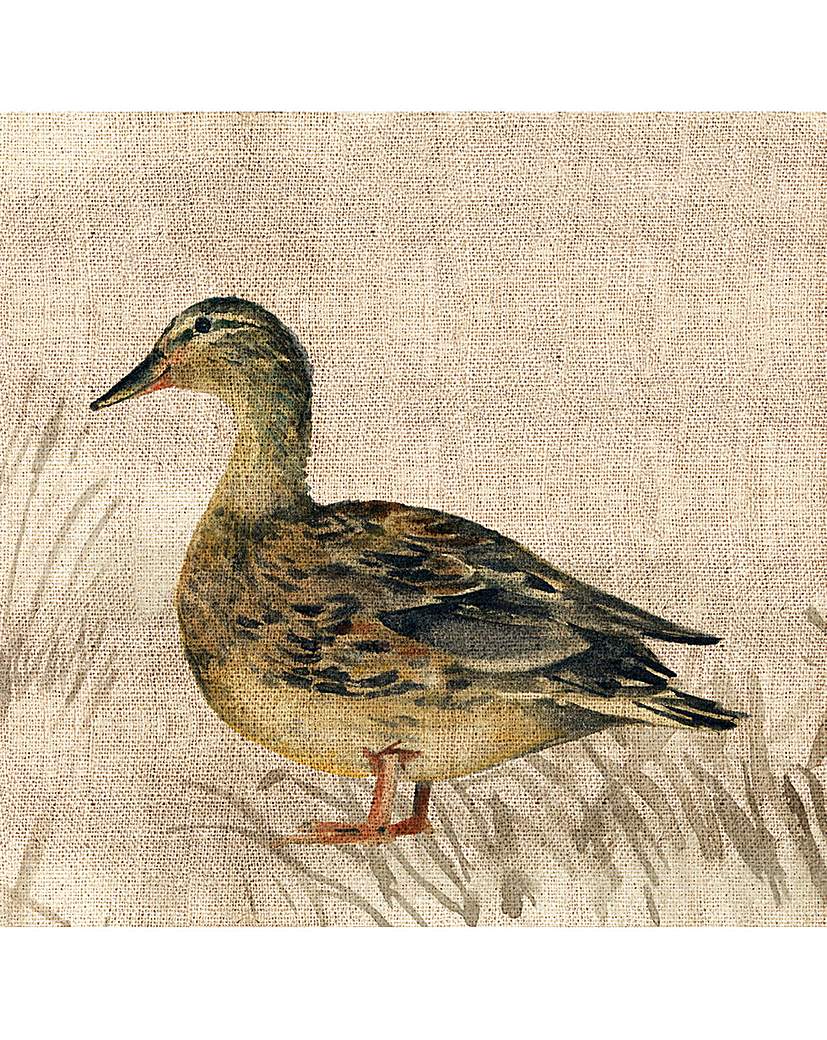 Arthouse Duck Canvas Arthouse Duck Canvas