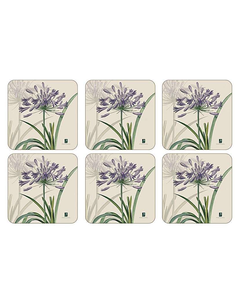 Pimpernel RHS Agapanthus Coasters Pimpernel RHS Agapanthus Coasters