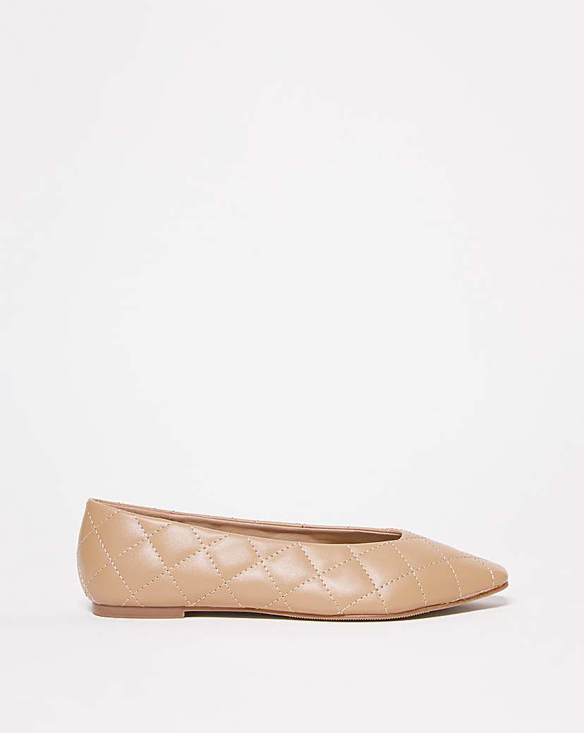 Pointed Toe Flat Ballerina Wide Fit