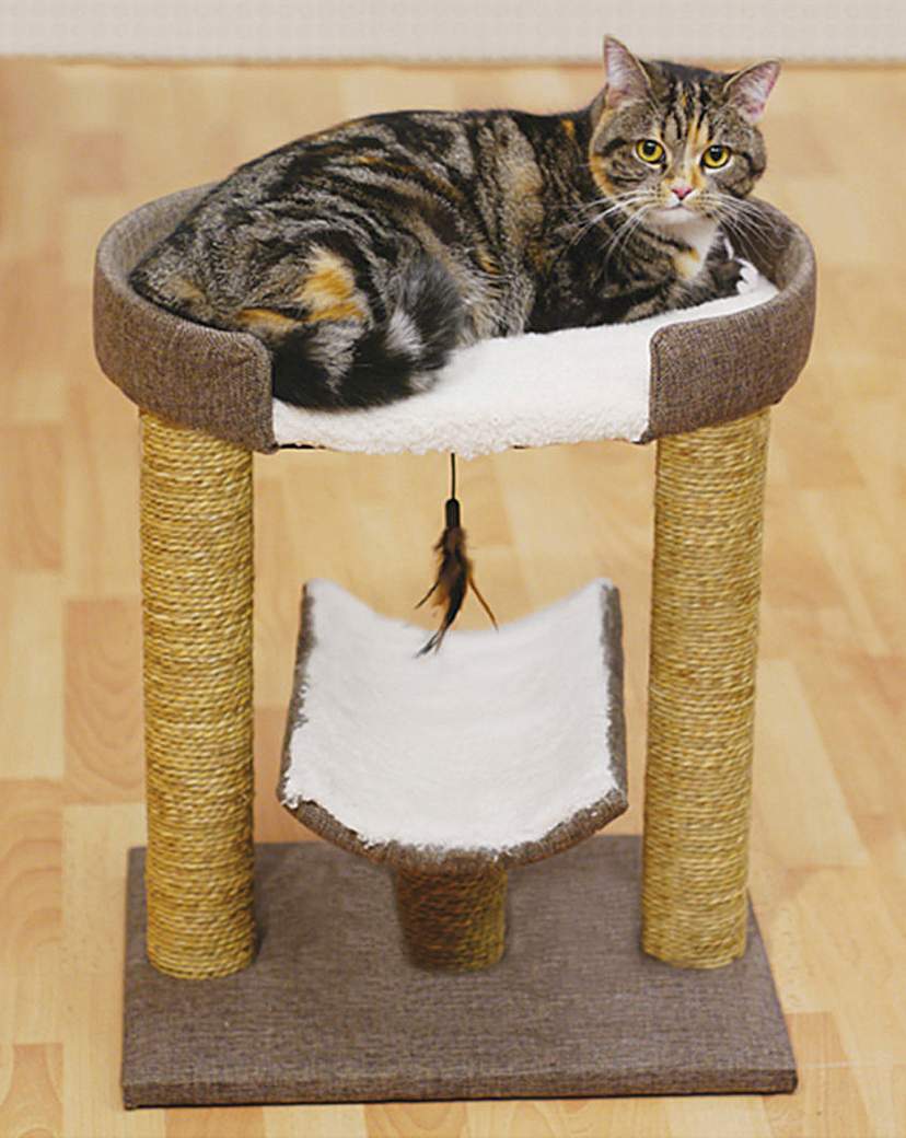 Saffron Cat Scratcher Saffron Cat Scratcher