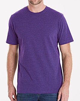 Capsule Crew Neck T-shirt Regular