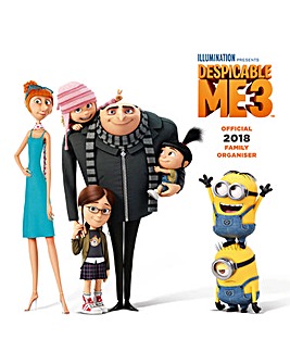 Despicable Me Organiser