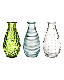 Botanical Set of 3 Vases