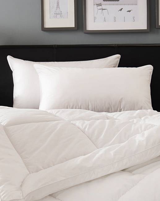 Hotel Quality Pillow Fifty Plus