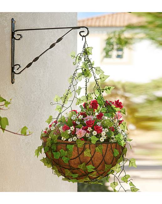 Ready Made Rose Hanging Basket | Fifty Plus