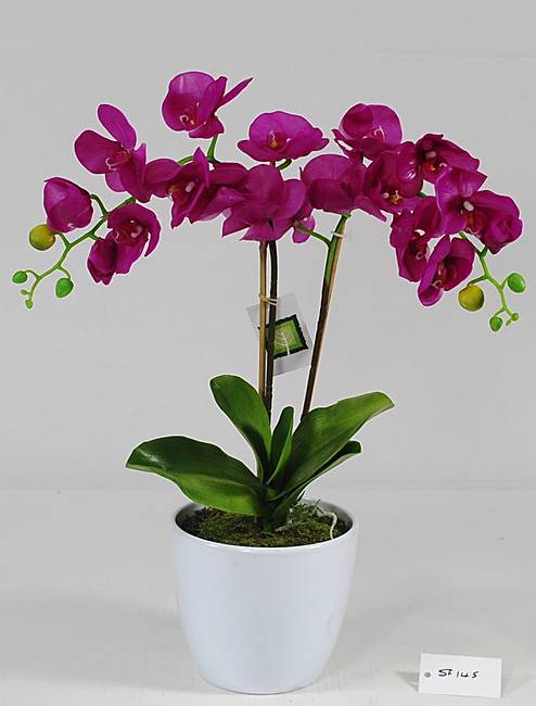 Artificial Plant Potted Orchid | Home Beauty & Gift Shop