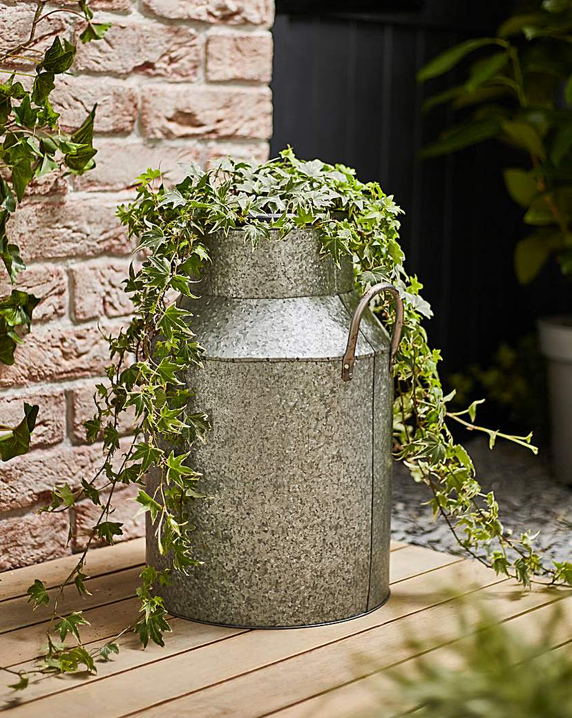 Ivyline Galvanised Milk Churn