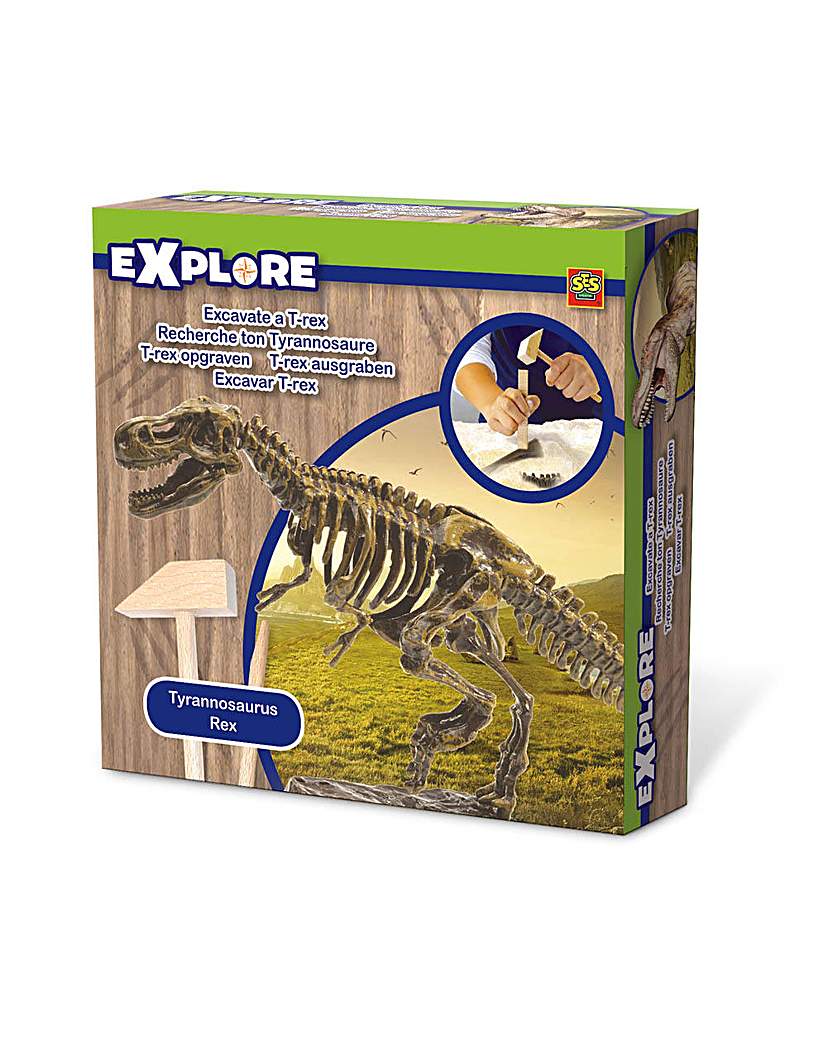 Image of Excavate a T-Rex Dinosaur Skeleton