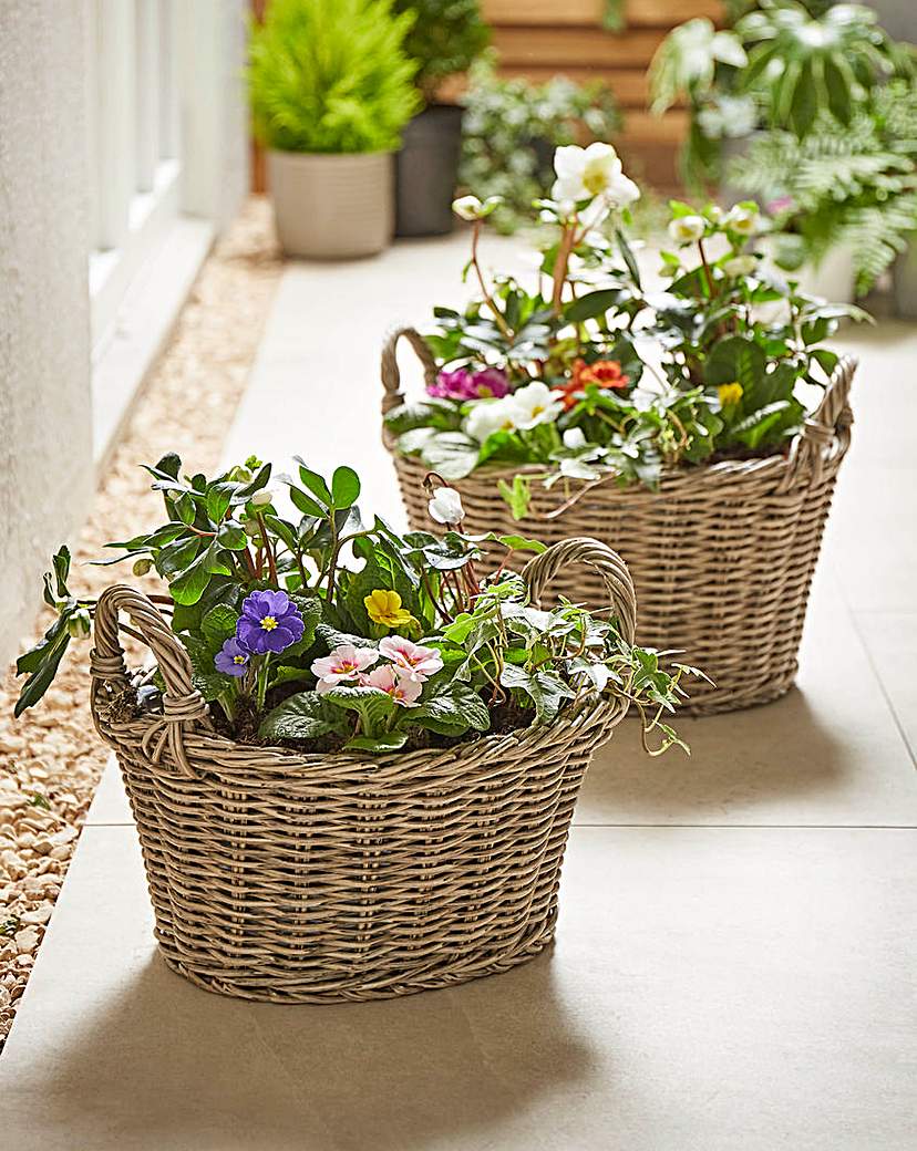 Ivyline Polyrattan Lined Basket