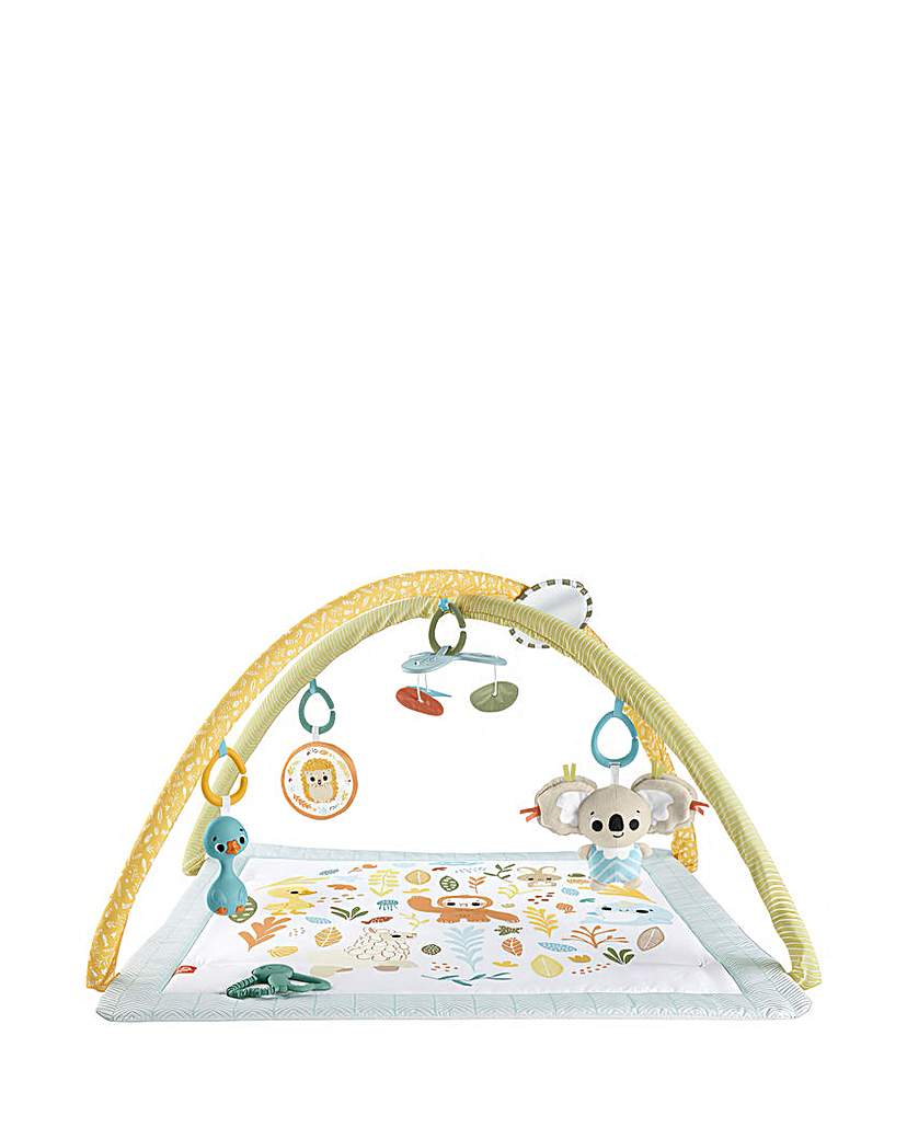 Fisher Price Simply Senses Newborn Gym