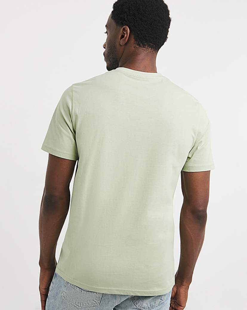 5 Pack Multi V Neck T-Shirts