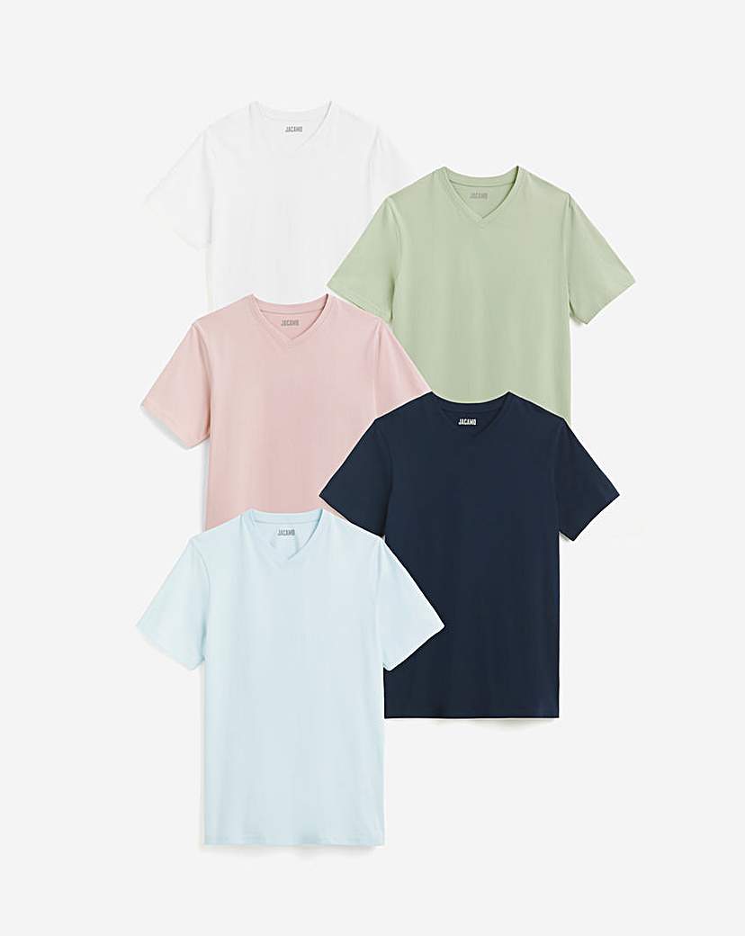 5 Pack Multi V Neck T-Shirts