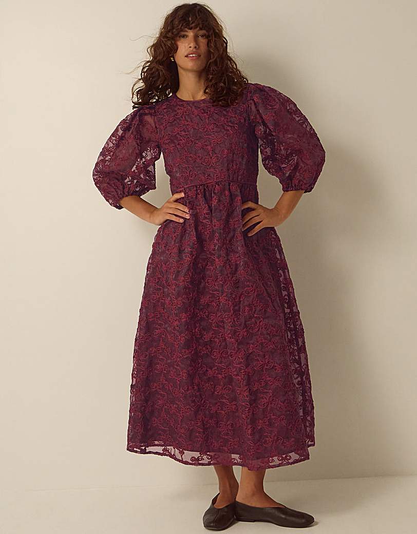 Monsoon Wren Embroidered Organza Dress