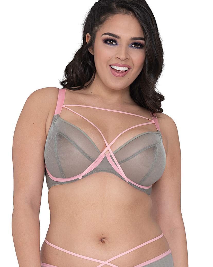 Image of Curvy Kate Lifestyle X Plunge Bra