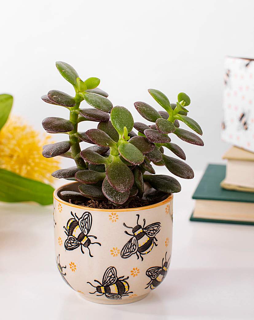 Image of Sass & Belle Busy Bees Small Planter