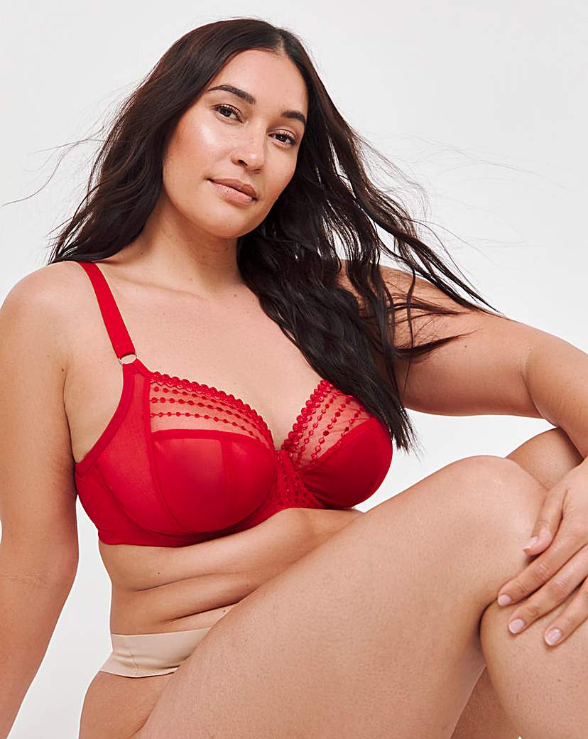 New In - Elomi Matilda Plunge Wired Bra Haute Red