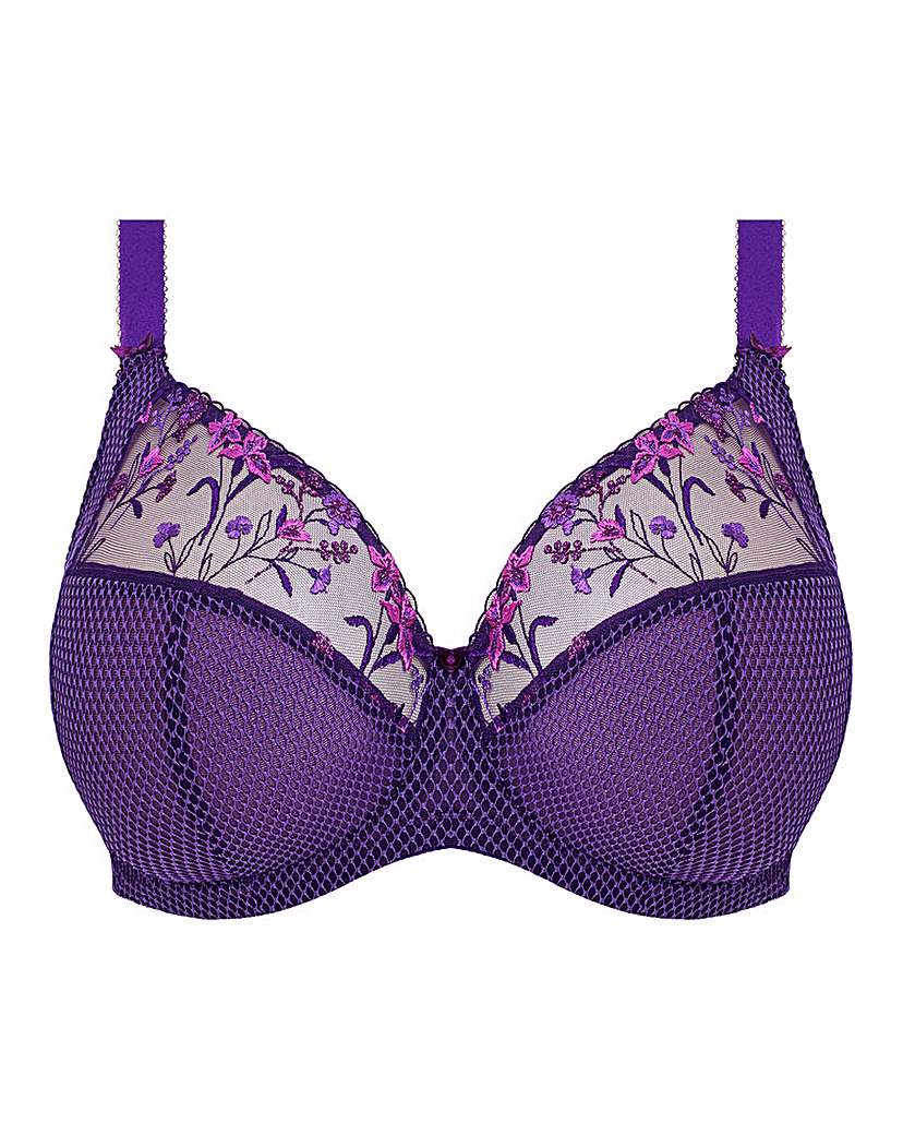 Elomi Charley Plunge Wired Bra Iris