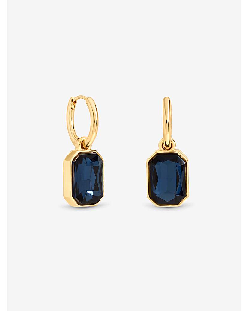 Gold & Blue Earrings