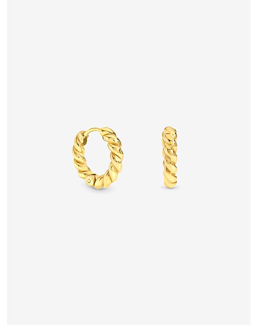 Gold Hoop Earrings