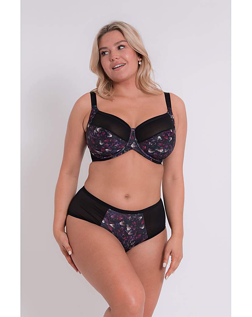 Curvy Kate WonderFully Shorts