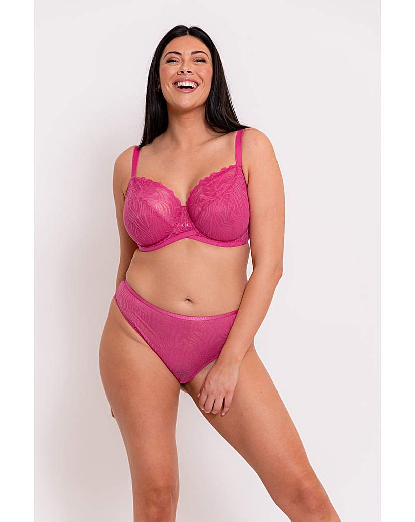 Curvy Kate Lace Daze Brazilian Brief