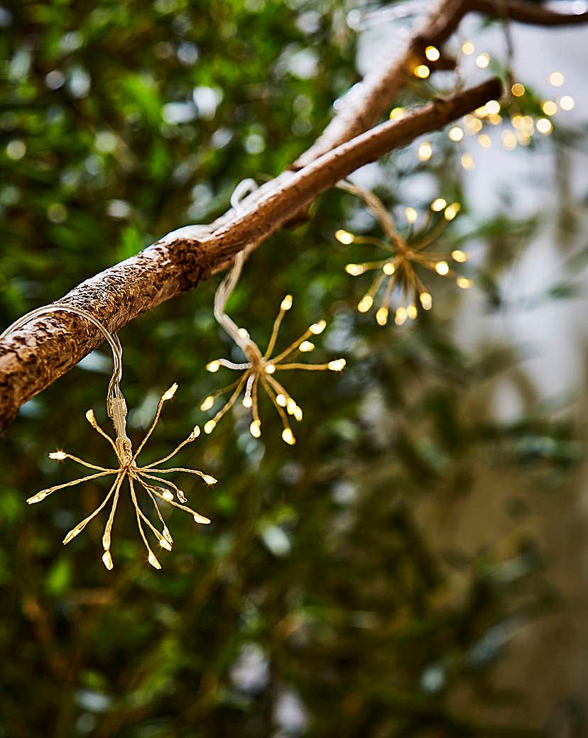 Smart Garden Starburst String Lights