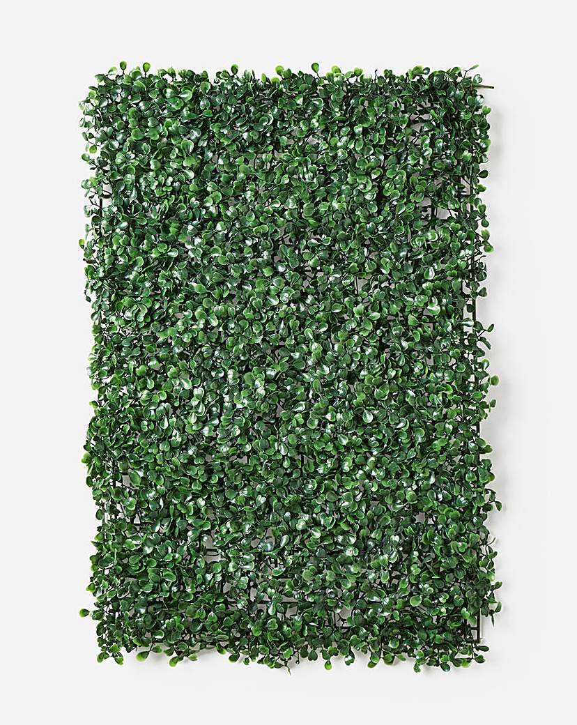 Boxwood Screening Panel 60x40cm