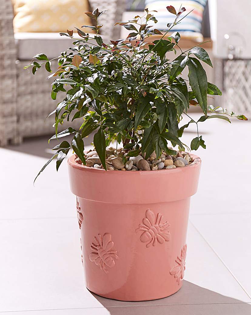 Image of Bee Embossed Planter