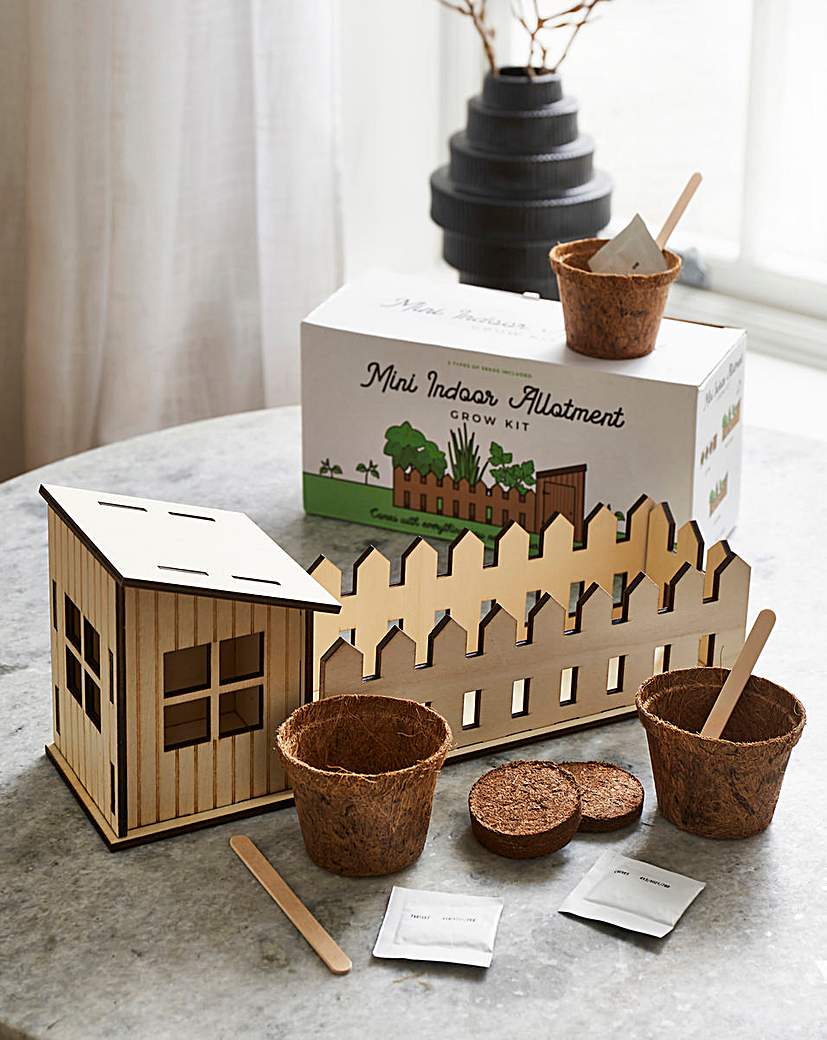 Image of Mini Indoor Alotment