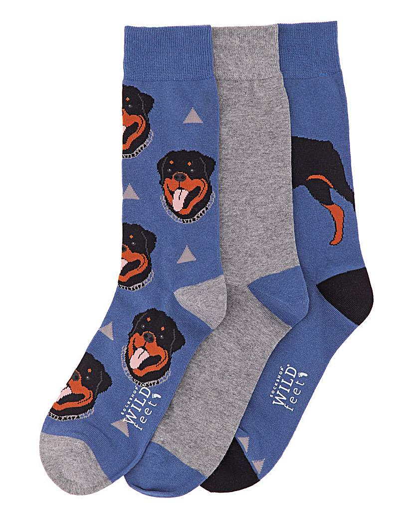 Image of Wild Feet Rottweiler 3 Pack Socks