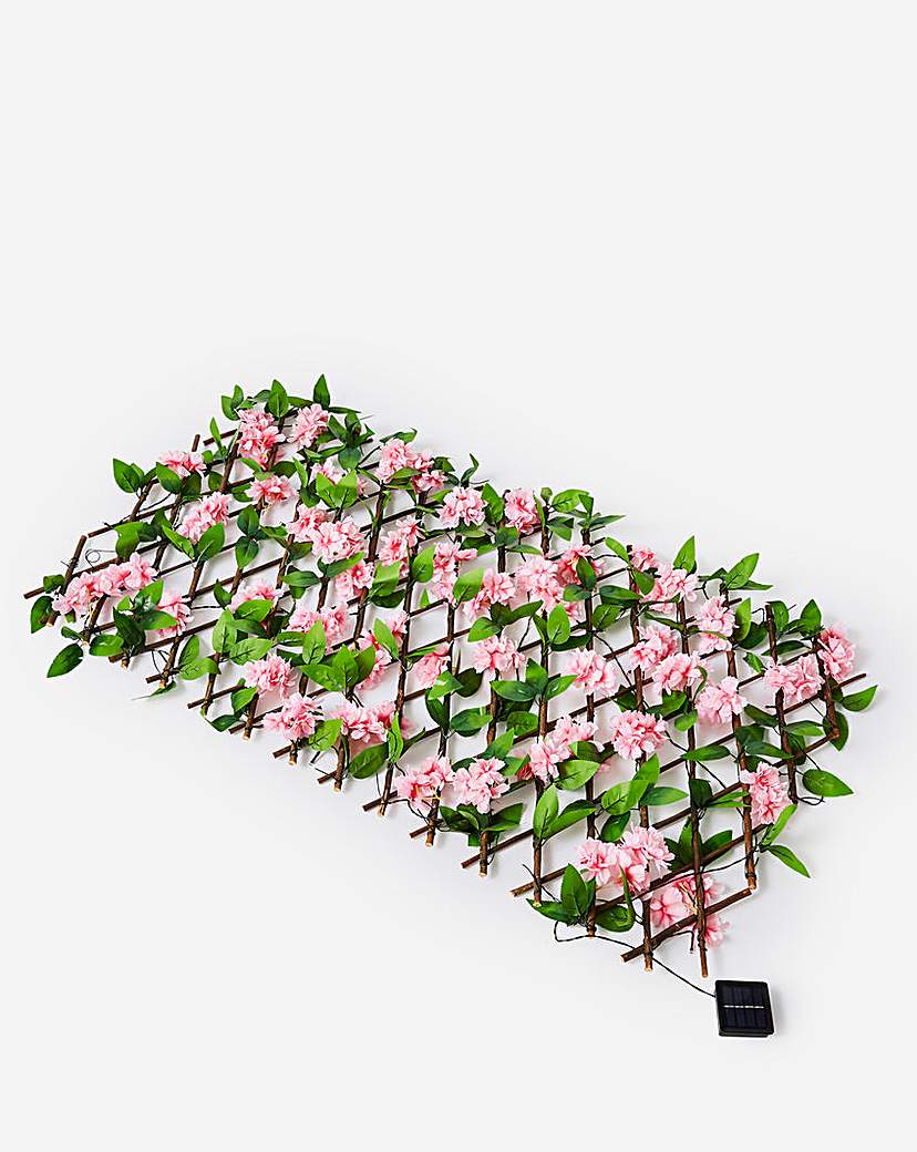 Pre-Lit Solar Blossom Trellis