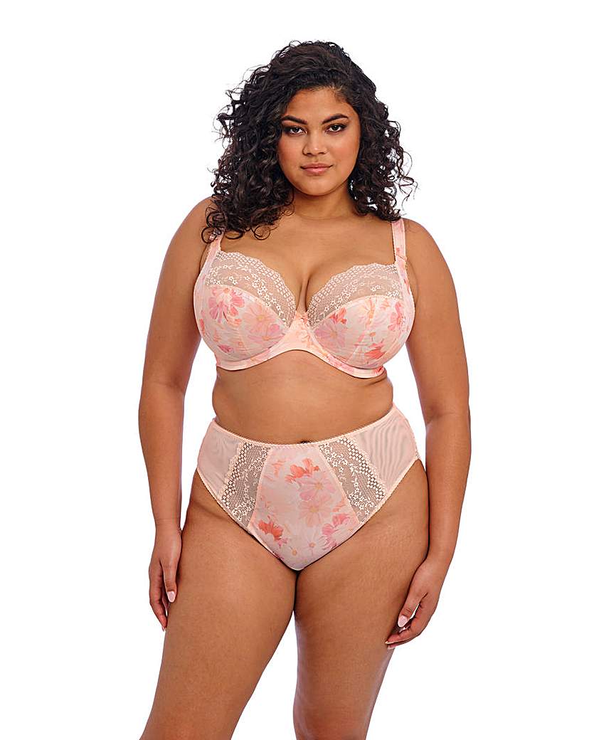 Elomi Lucie High Leg Knicker Cosmos