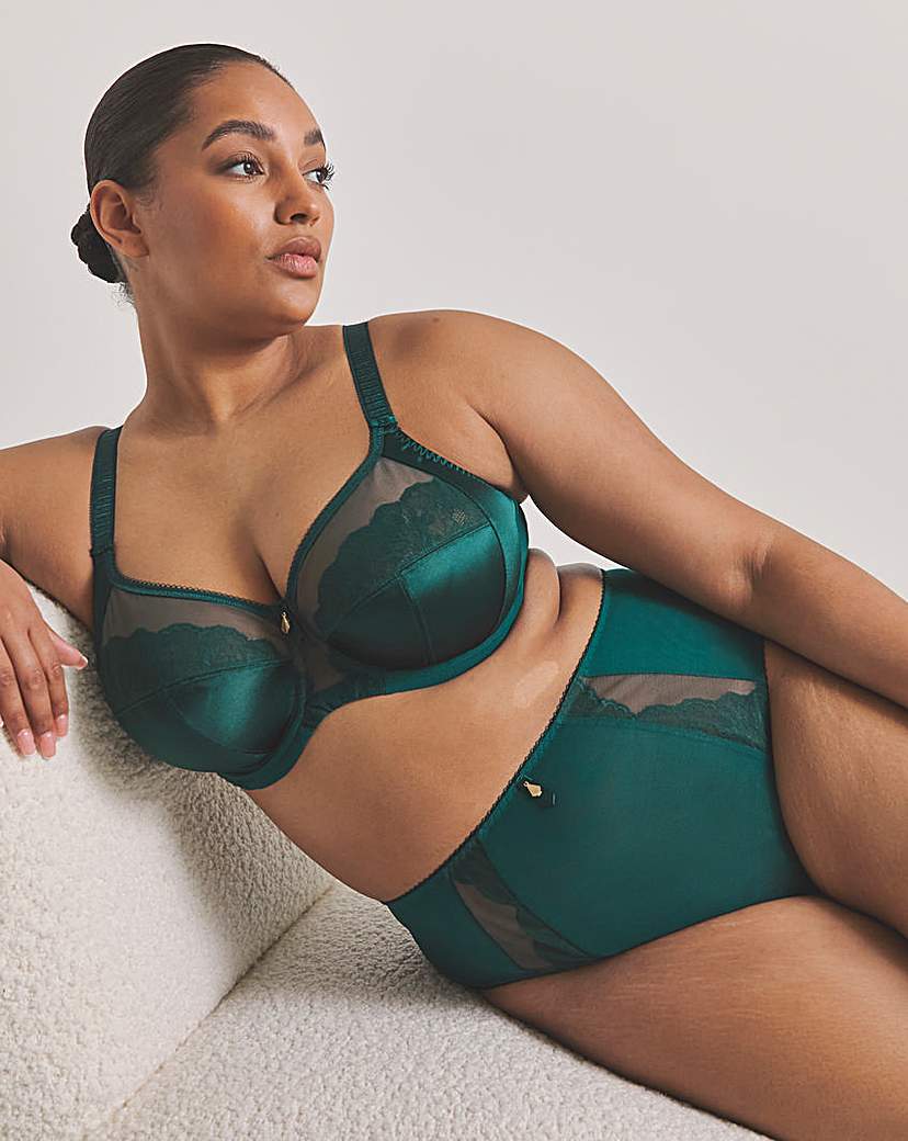 New In - Elomi Allure Full Fit Knicker Emerald