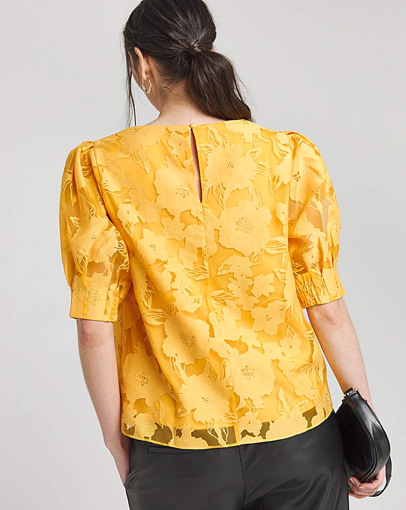 Joanna Hope Burnout Blouse