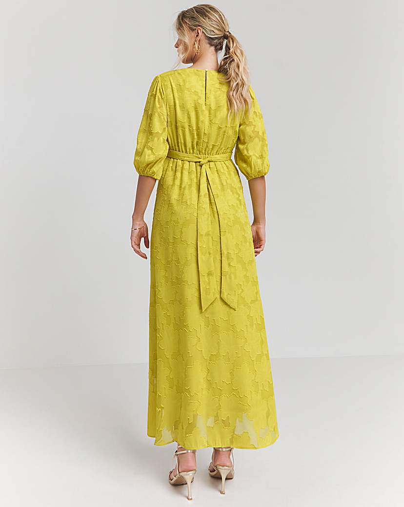 Joanna Hope Burnout Maxi Dress