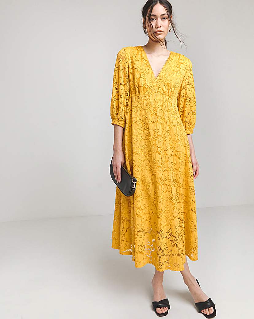 Joanna Hope Stretch Lace Dress