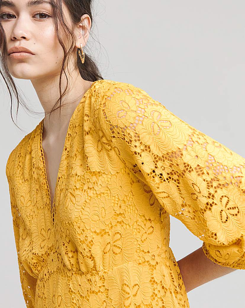 Joanna Hope Stretch Lace Dress